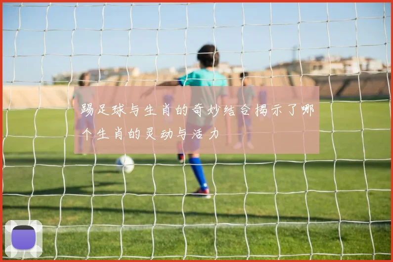 踢足球与生肖的奇妙结合揭示了哪个生肖的灵动与活力