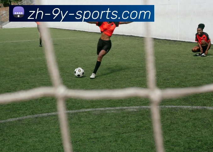 多媒体互动体验